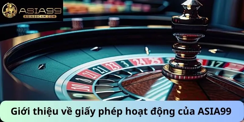 Giới thiệu về giấy phép hoạt động